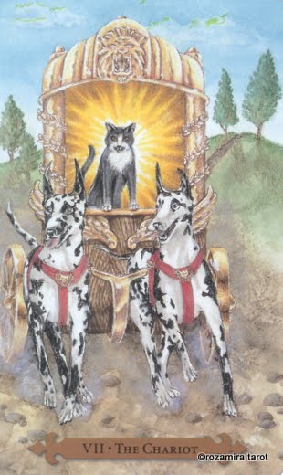 Mystical Cats Tarot